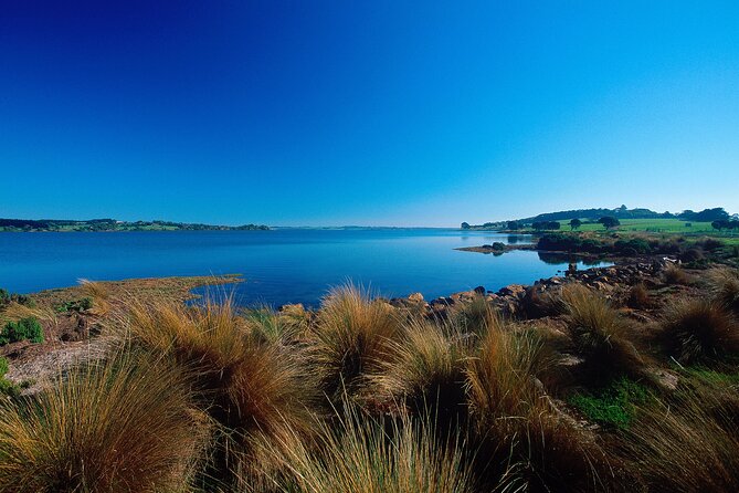 1 Day Exclusively Private Tour Of Phillip Island & The Penguin Parade - My booking verdict