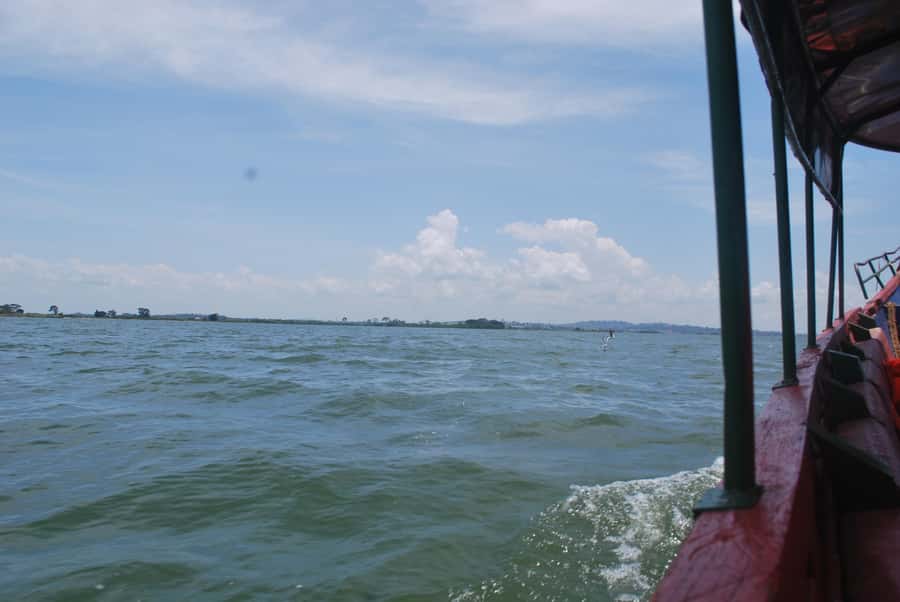 1-Day Mabamba Shoebill Birding Tour in Lake Victoria Entebbe - The Lake Victoria boat ride