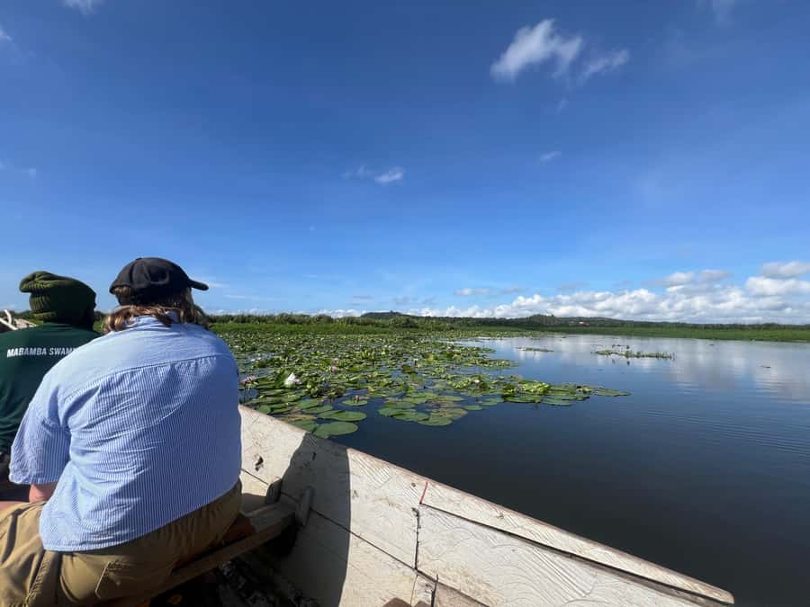 1-Day Mabamba Shoebill Birding Tour in Lake Victoria Entebbe - Searching the narrow swamp channels