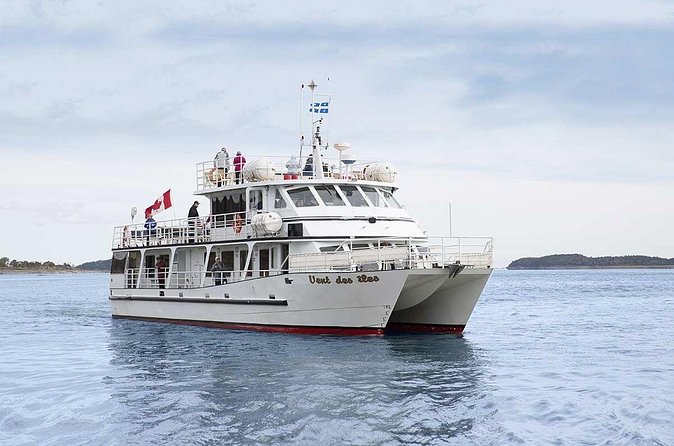 1000 Little Penguins Cruise - Who Will Enjoy This Cruise Most