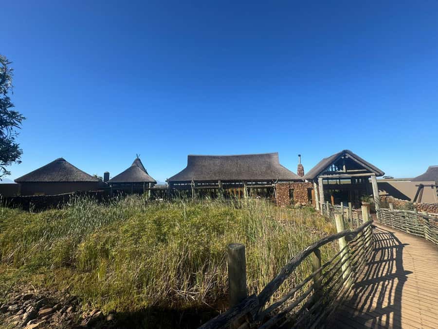 2-Day Cape Town Safari with Big 5, Penguins & Cape Agulhas - Transport, guides, and the pace of the trip