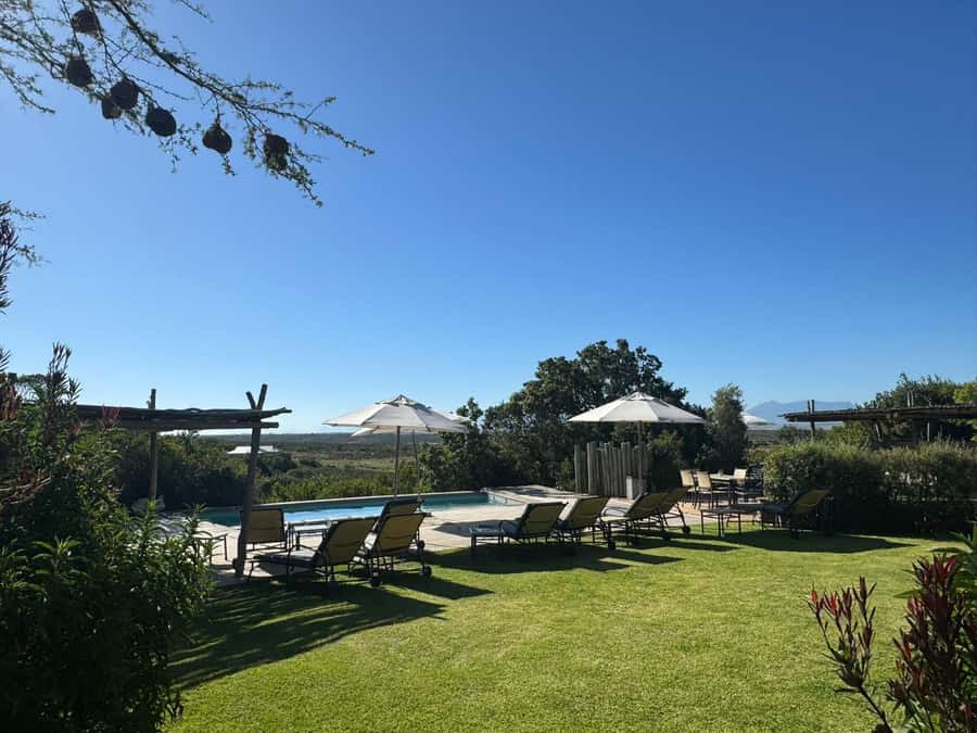 2-Day Cape Town Safari with Big 5, Penguins & Cape Agulhas - The first safari drive arrives at sunset