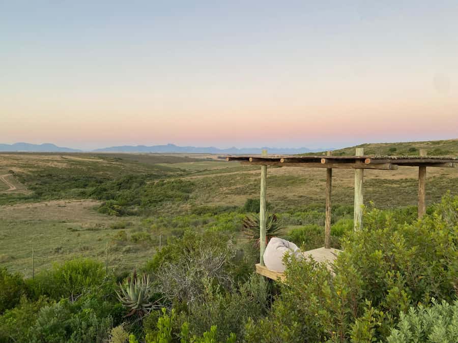 2-Day Cape Town Safari with Big 5, Penguins & Cape Agulhas - Dinner and a comfortable night at the lodge