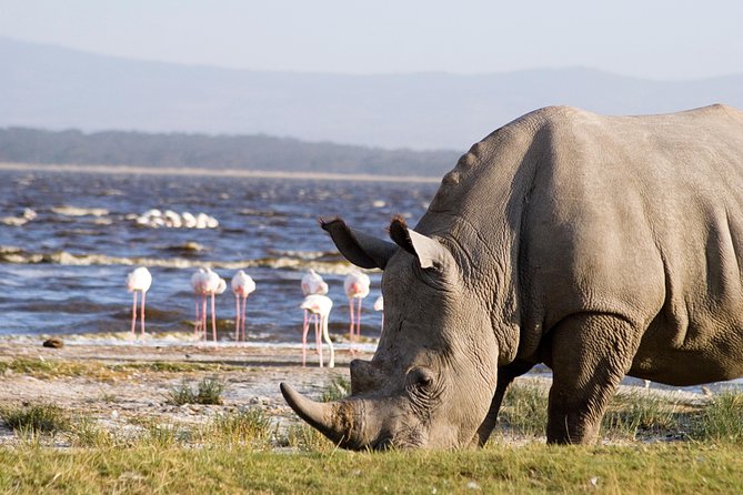 2 Days Flamingo Tour to Lake Bogoria & Lake Nakuru From Nairobi - Overnight near Nakuru after a full first day