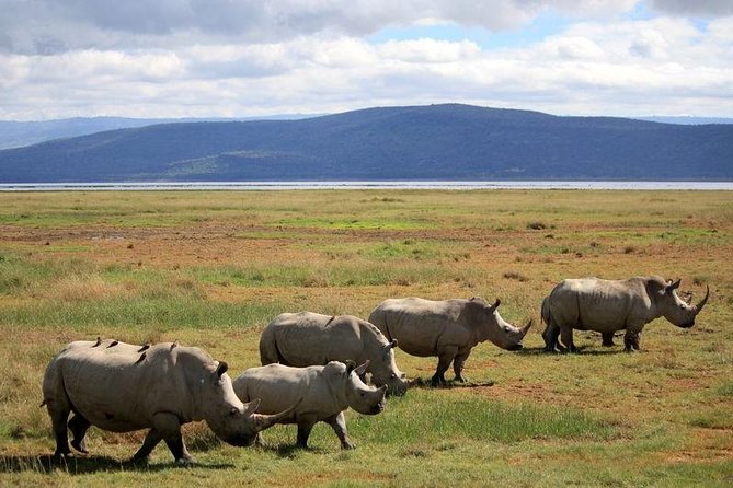 2 Days Flamingo Tour to Lake Bogoria & Lake Nakuru From Nairobi - The strongest part of the guiding