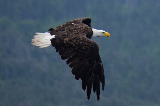 2 Hour Award-Winning Whale and Seabird Boat Tour from St. John's - The crew, commentary, and onboard atmosphere
