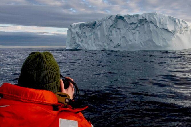 2 Hour Award-Winning Whale and Seabird Boat Tour from St. John's - Signal Hill and Cabot Tower from below