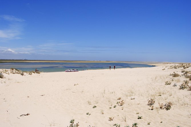 2-hour Bird Watching Guided Boat Trip in Ria Formosa from Faro Algarve - Bird watching with binoculars and a guide