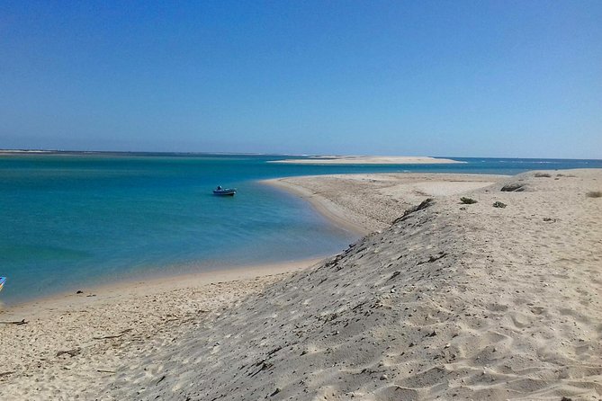 2-hour Bird Watching Guided Boat Trip in Ria Formosa from Faro Algarve - Oyster beds, clam farms, and the working lagoon