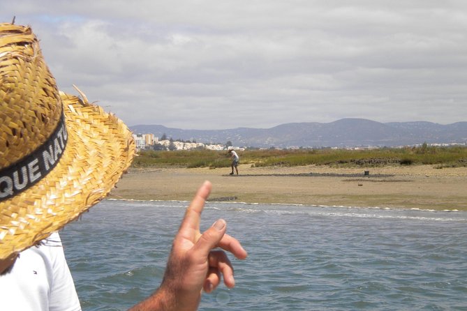 2-hour Bird Watching Guided Boat Trip in Ria Formosa from Faro Algarve - A comfortable pontoon boat for a small group