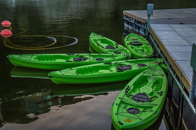 2 Hour Kayak Lessons On Lady Bird Lake - Choosing your route on the lake