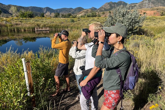 2 Hours of Mindful Bird Watching near Denver - A Quiet Start at Belmar Park