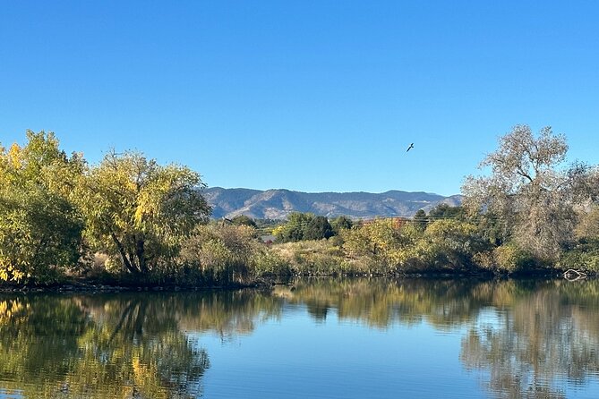 2 Hours of Mindful Bird Watching near Denver - Learning to See What You Usually Miss
