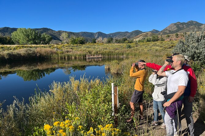 2 Hours of Mindful Bird Watching near Denver - Why the Mindful Approach Works