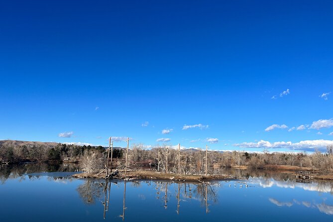2 Hours of Mindful Bird Watching near Denver - What Jane Adds to the Morning