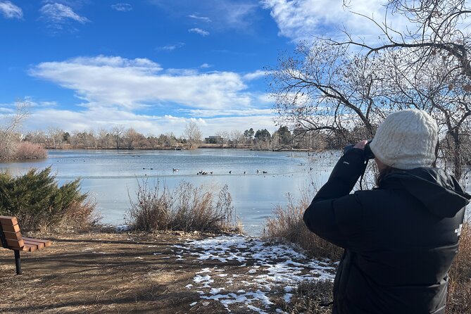 2 Hours of Mindful Bird Watching near Denver - The $50 Question: Is It Good Value?