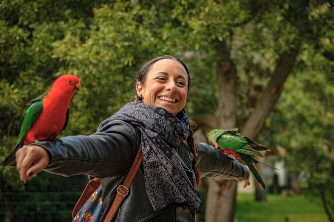 3 Day Combo: Great Ocean Road, Penguin Parade and FREE City Tour - The Nobbies and the Penguin Parade after sunset