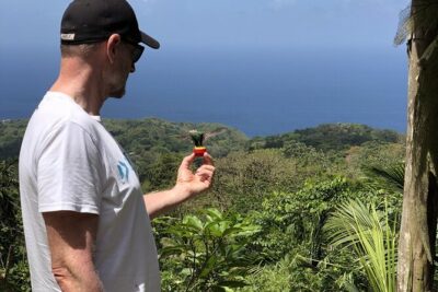 3 Hours Rainforest Walk in Tobago (Private) Lunch + Hummingbirds