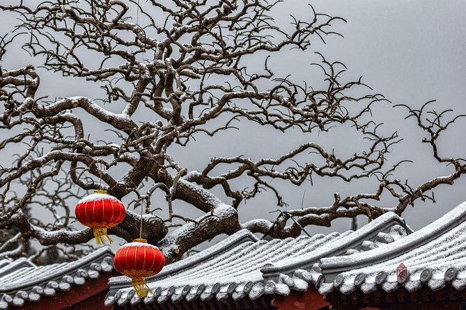 4-Hour Private Forbidden City Walking Tour with Bird's ViewOption - Jingshan Park delivers the bird’s-eye view
