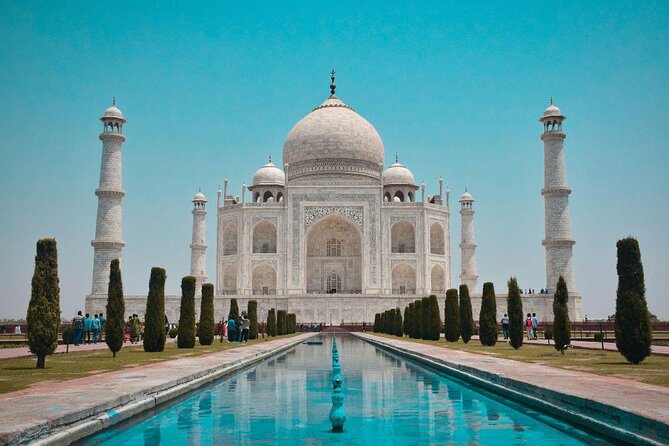7 Day Golden Triangle Tour with Wildlife-Taj Mahal Tigers & Birds - A wildlife trip wrapped around India’s classic sights