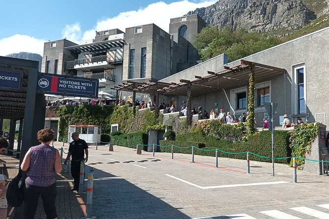8-Hour Tour in Table Mountain Penguins and Cape of Good Hope - Who should book this day