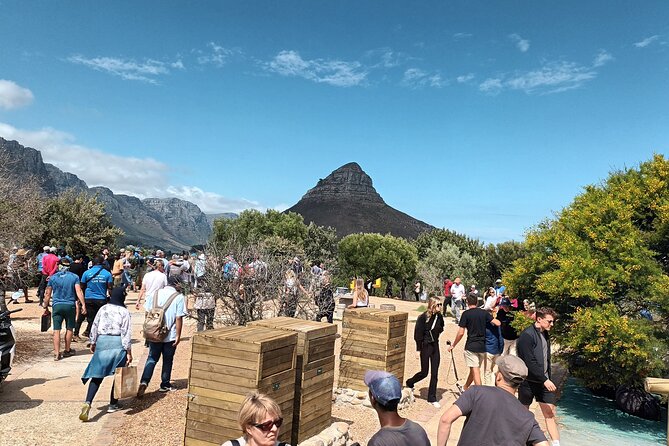 8-Hour Tour in Table Mountain Penguins and Cape of Good Hope - Table Mountain and the first big view