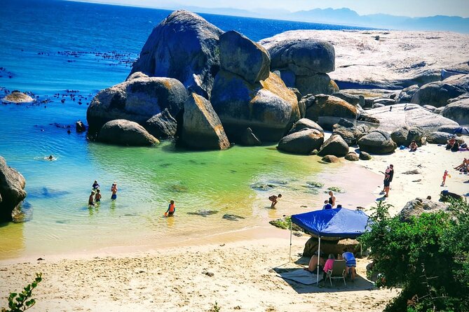 African Penguins (Boulders Beach) Half Day tour from Cape Town - Who will get the most from this half-day outing?