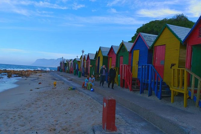 African Penguins (Boulders Beach) Half Day tour from Cape Town - Bo-Kaap in 20 minutes