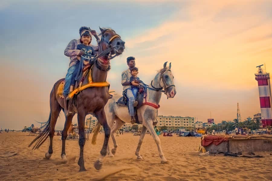 Agadir 2hours Horse Riding visite the flamingo river - Key points at a glance