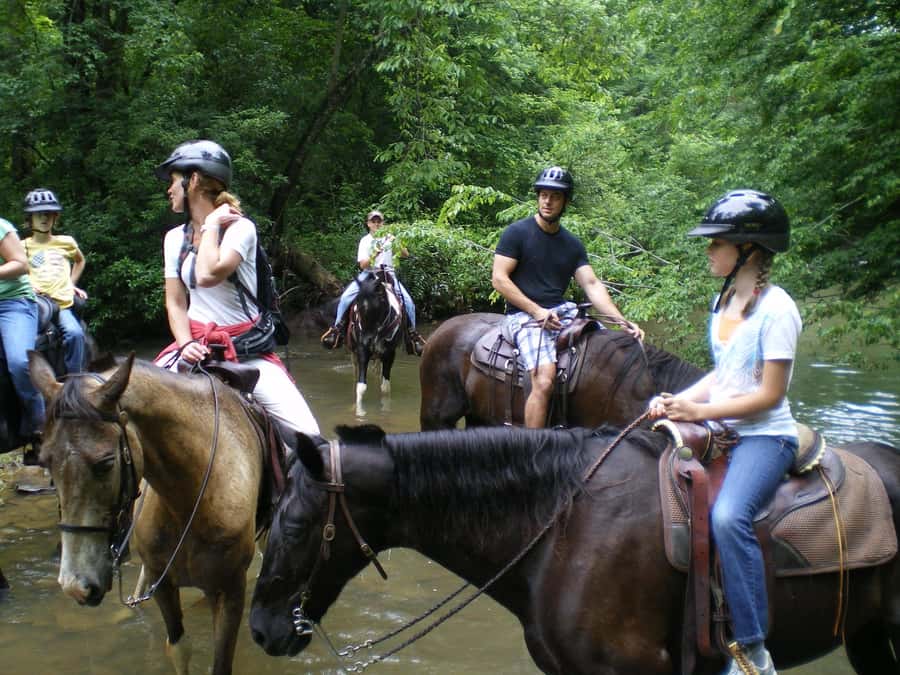 Agadir 2hours Horse Riding visite the flamingo river - Comfort, clothing, and small practical matters