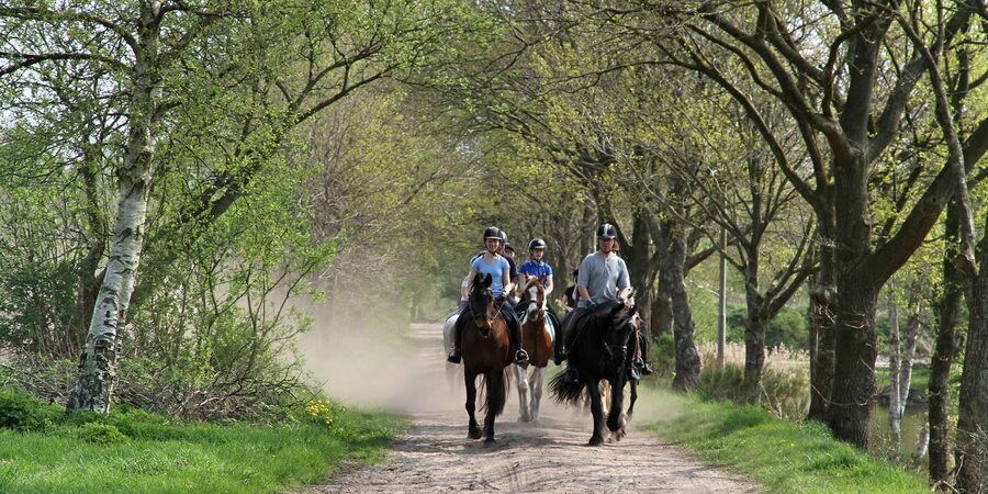 Agadir 2hours Horse Riding visite the flamingo river - Guides, language, and beginner support