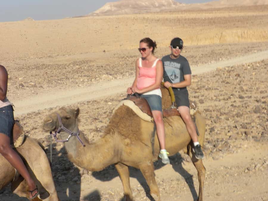 Agadir Camel Ride Flamingo River & BBQ Dinner - Key points to know before booking
