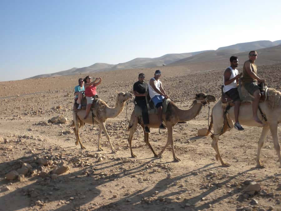 Agadir Camel Ride Flamingo River & BBQ Dinner - My honest take on the overall experience