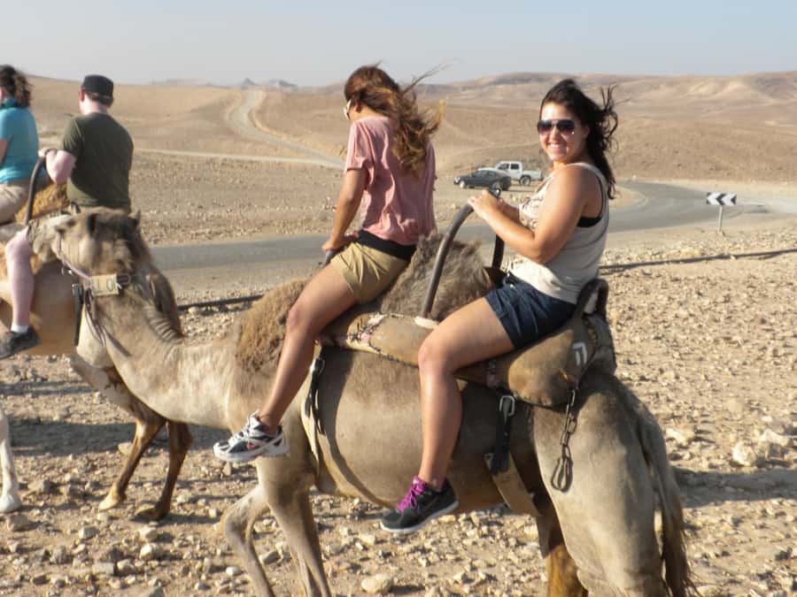 Agadir Camel Ride Flamingo River & BBQ Dinner - Leaving Agadir for the Souss-Massa countryside