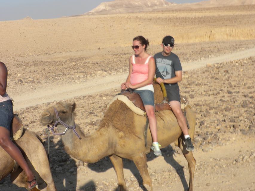 Agadir Camel Ride Flamingo River & BBQ Dinner - Price, flexibility, and practical planning