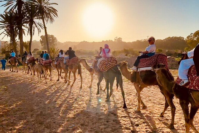 Agadir Camel Riding and flamingo river tour - Private touring and family suitability
