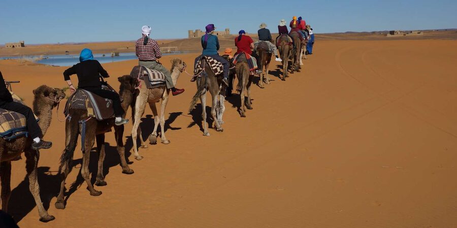 Agadir: Flamingo River Camel Ride - Key points at a glance