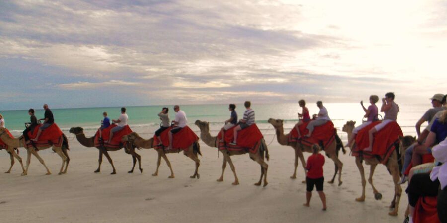 Agadir: Flamingo River Camel Ride - Booking details worth checking first