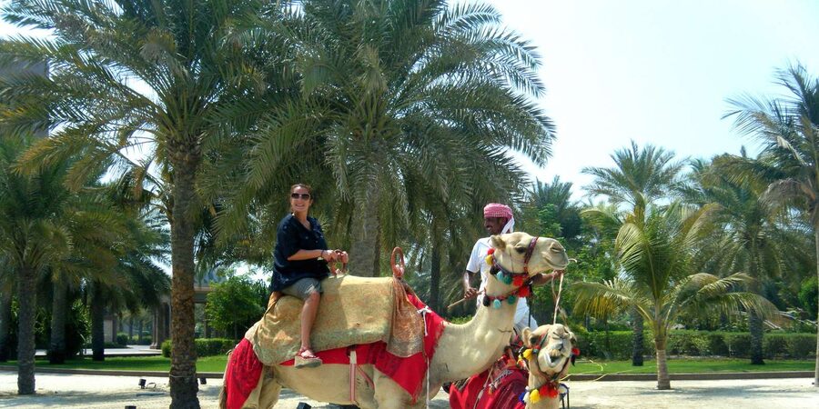 Agadir: Flamingo River Camel Ride - Leaving Agadir for the camel ranch