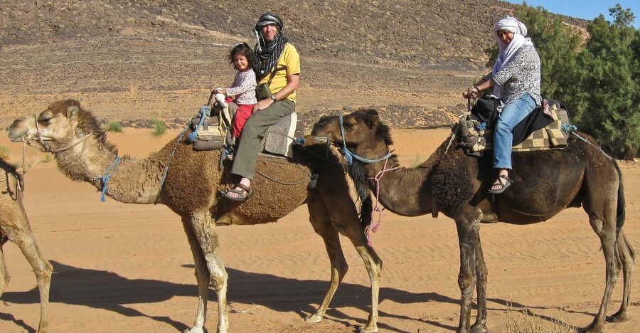 Agadir: Flamingo River Camel Ride - Eucalyptus trees and a slower view of Morocco