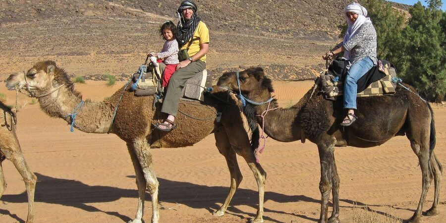 Agadir: Flamingo River Camel Ride - The Souss River and a chance to spot flamingos