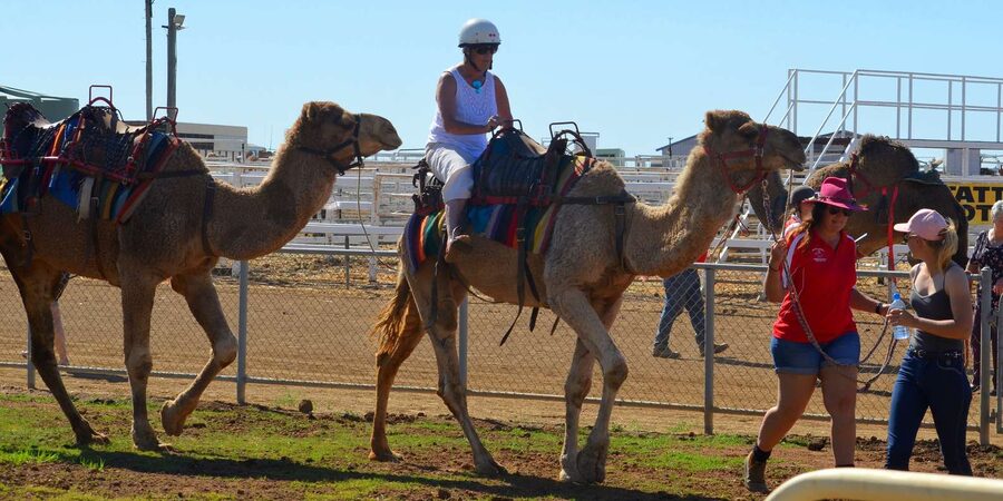 Agadir: Flamingo River Camel Ride - Sunset from the camel saddle