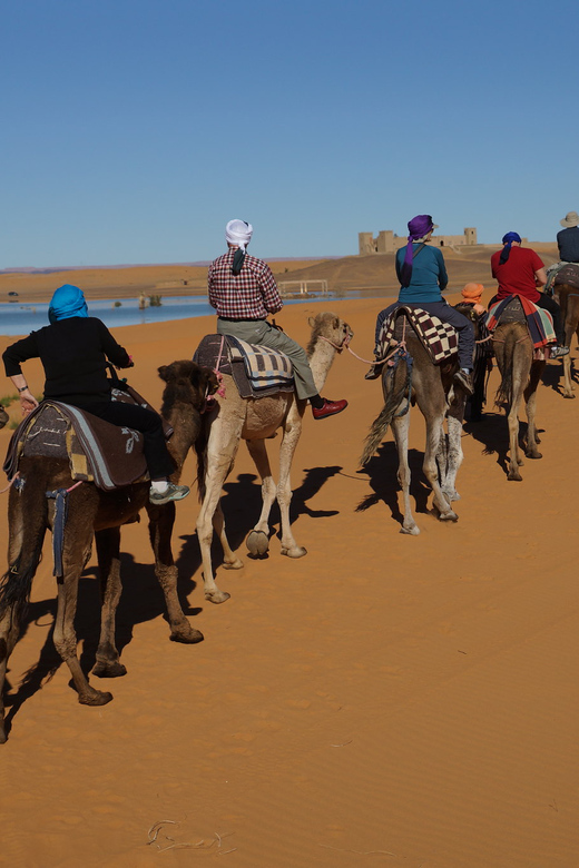 Agadir: Flamingo River Camel Ride - Mint tea back at the ranch