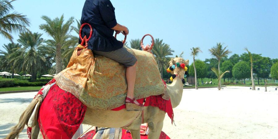 Agadir: Flamingo River Camel Ride - Who will enjoy this ride most