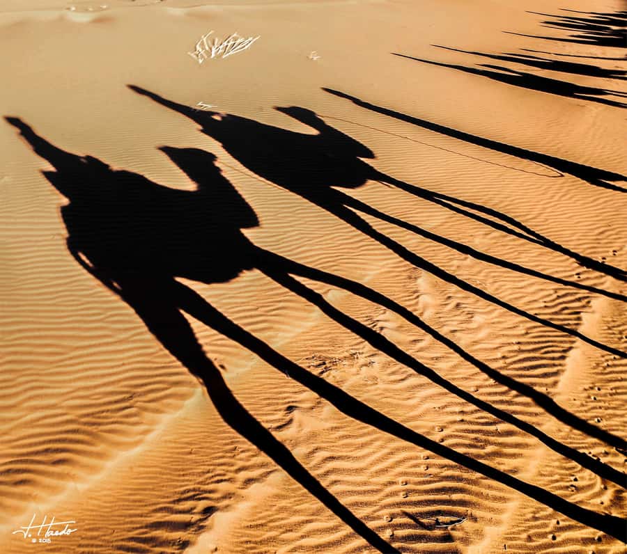 Agadir: Flamingo River Camel Ride with Optional BBQ Dinner - Leaving Agadir for Aghroud Bensergao