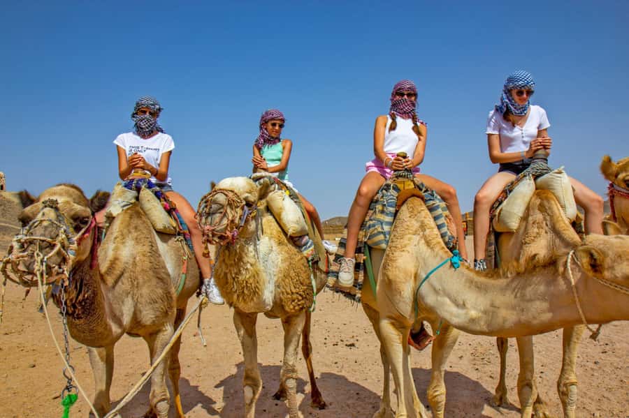 Agadir: Flamingo River Camel Ride with Optional BBQ Dinner - The optional dinner needs a clear question