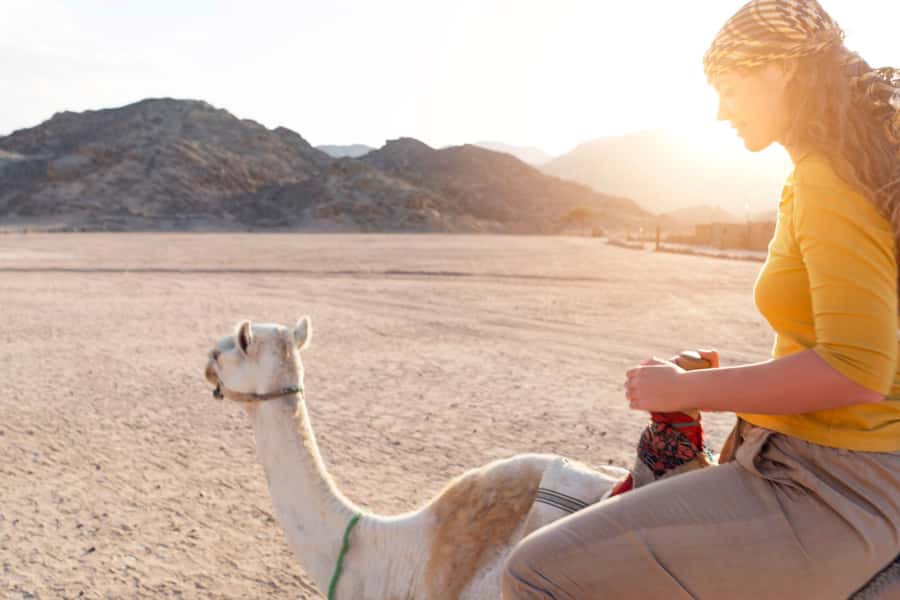 Agadir: Flamingo River Camel Ride with Optional BBQ Dinner - Is $20 a fair price for Agadir?