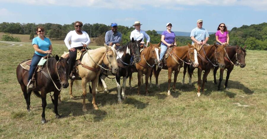 Agadir: Guided Horse Riding Along Flamingo River with Tea - Two hours from dunes to Flamingo River