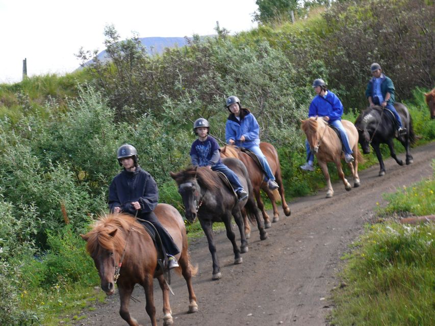 Agadir: Guided Horse Riding Along Flamingo River with Tea - What the dunes feel like on horseback