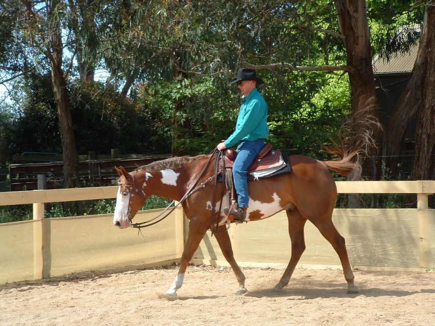 Agadir: Guided Horse Riding Along Flamingo River with Tea - Who will enjoy this most